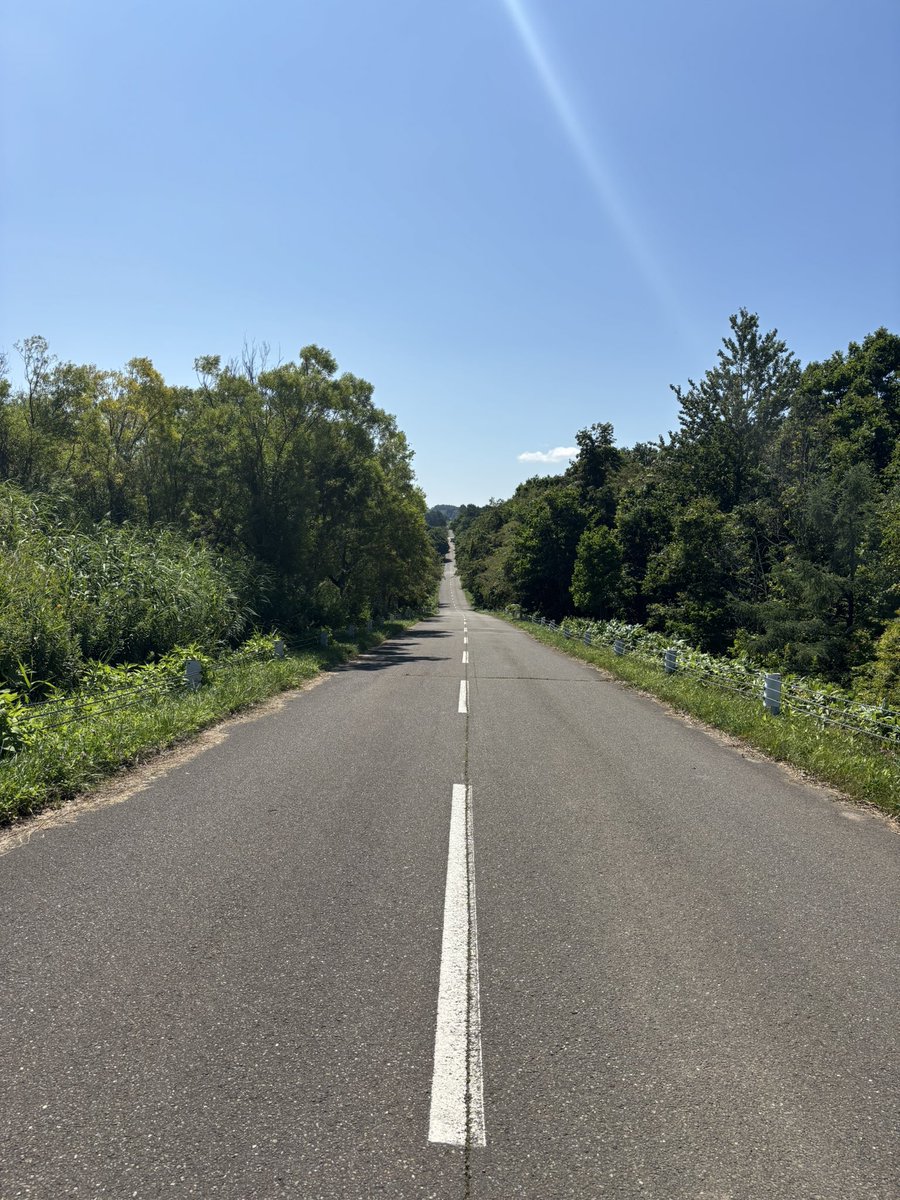 SDGs_Propeller's tweet photo. ジェットコースターの道 https://t.co/0uzo9Vx0B8