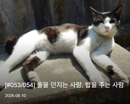 dgnewsmin's tweet photo. https://t.co/P3f7I1s66t
돌을 던질 이유는 쉽게 만들어진다. 고양이가 해코지했다거나 주민에게 불편을 준다는 말에 이제는 새와 생태계를 보호해야 한다는 명분까지 붙었다. 반면 길 위의 생명에게 밥을 건네는 마음은 끊임없이 의심받고 통제의 대상이 된다. 우리가 경계해야 할 것은 밥그릇이 ... https://t.co/MjE9860nsh