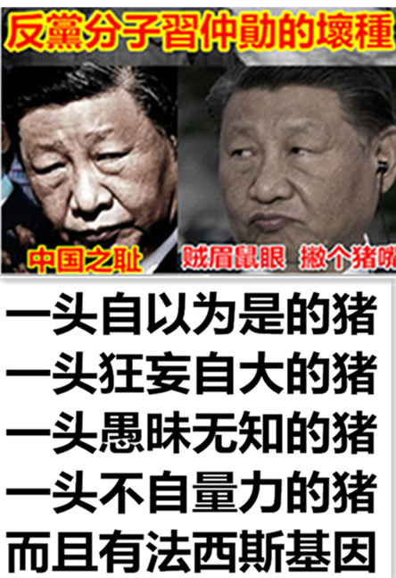 xin2179's tweet photo. 中共《学习时报》
“平民情怀、贵族气质，
近平同志的贵族气质，
是骨子里透出来的”。

土匪习仲勋：
“我的祖籍在河南邓县，
那时祖父只有二亩半地，
日子过得很苦，加之天灾、
民不聊生，全家逃到了陕西富平”

贵族必须有贵族血统！坐过一次英女王的马车 就可以从骨子里透出来贵族气质吗？！ https://t.co/Esw2dfIIPn