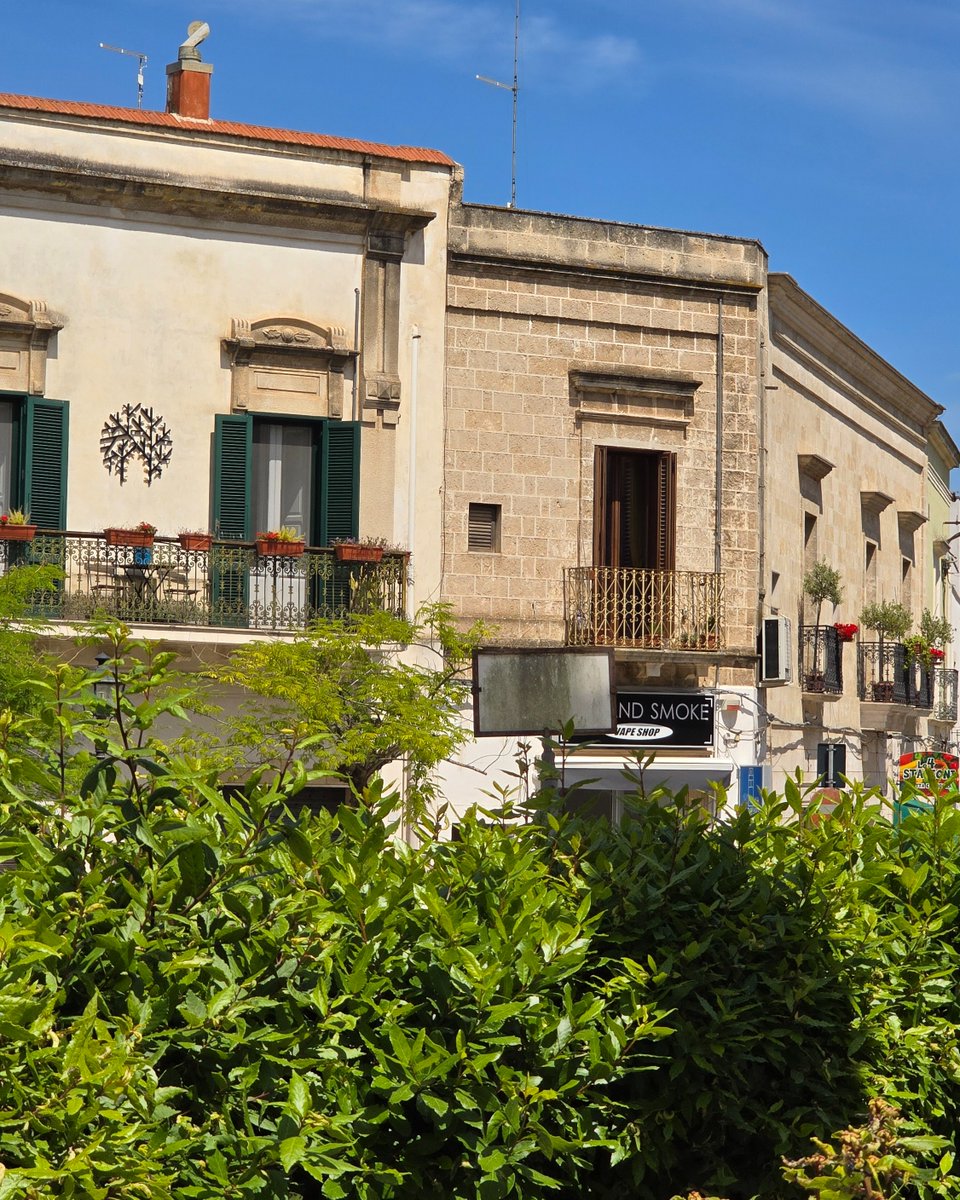 SO_IPP's tweet photo. [Carte postale estivale : Focus sur les Pouilles] Oria a ce quelque chose de rare. Entre les côtes adriatiques et ioniennes, la ville se dévoile avec une authenticité qui séduit immédiatement. Son château fort, sa cathédrale qui domine la vallée, son ancien ghetto juif (1/3) https://t.co/prQEWt33OQ
