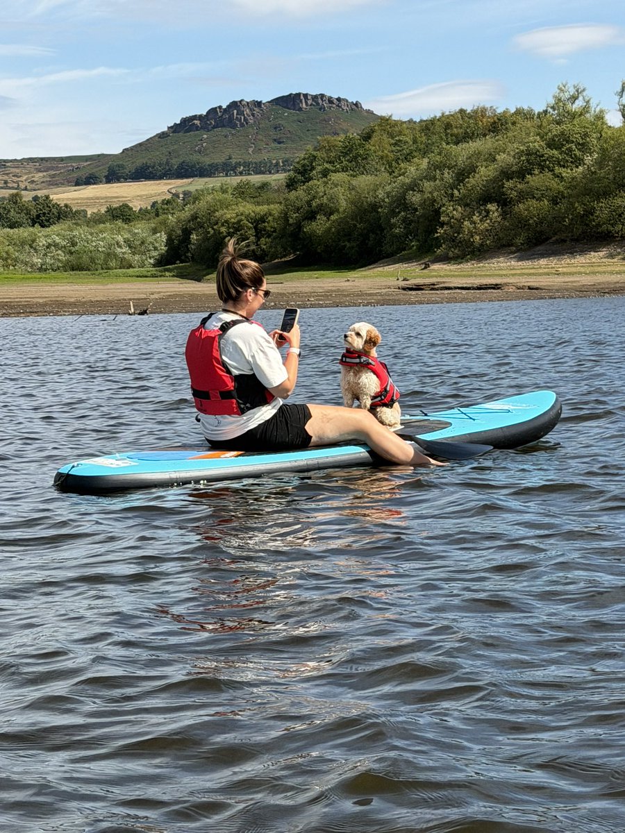 js_stephan39884's tweet photo. I’m not sure if this little lady loved the paddle boarding or the posing 🤭

She’s so funny and such a good girl 📸 https://t.co/SLvwxHc6NO