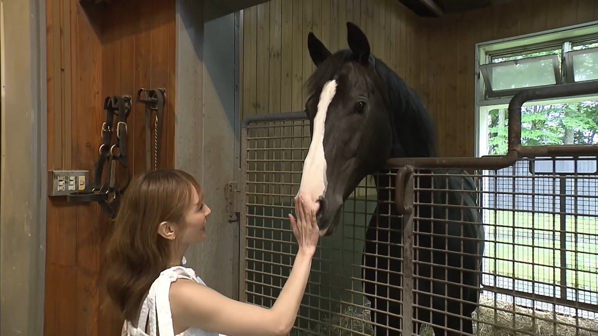 cocoarini's tweet photo. "Onee-san, do u have a carrot?" https://t.co/8fjkmp1dCb