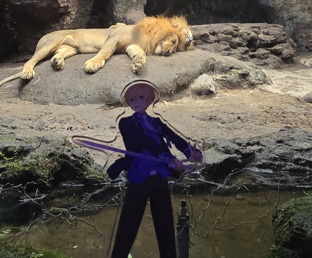 EternalHorizon9's tweet photo. 今日は #世界ライオンの日 です!!
そしてまた、ここに2025年1月8日に動物園を訪れた際に僕が撮った僕のEXユージオとキリトアクリルスタンド、と僕の星空ユージオアクリルスタンドとライオンたちの写真がいくつかあります!! ✨📷

📸 2025/01/08
＃ユージオ ＃キリト ＃SAO ＃写真家 ＃写真撮影 https://t.co/GaEGJMtaY4