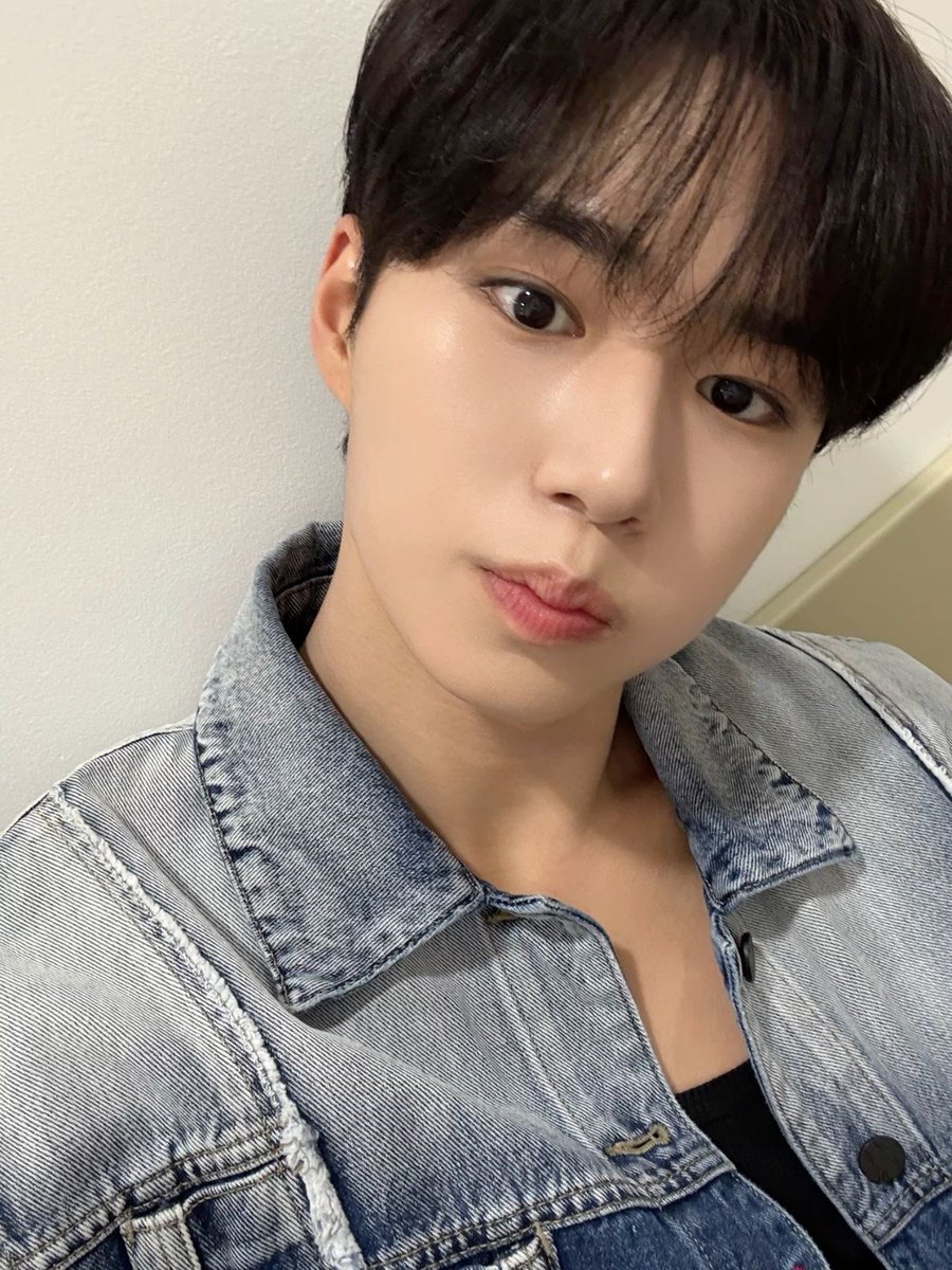 crimsonxnb's tweet photo. #wei im also a new #rui looking for #rui moots! 
🪽🇯🇵🇹🇭🇺🇸
🪽my biases are junseo and seokhwa
🪽huge multistan and i love love love all my groups
🪽pls mootzz

retweet or like pleasee https://t.co/EhloIy5nOj