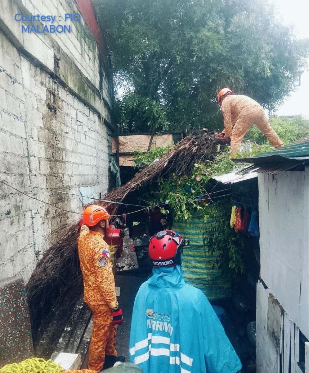 NET25TV's tweet photo. TINGNAN: Mabilis na inaksyunan ng mga awtoridad ang clearing operations sa bumagsak na punong Balite sa Malabon ngayong Lunes, Agoso 10. | via Manny De Luna
π·: PIO Malabon
#NET25NewsandInformation #Habagat #heavyrain #rain #accident #clearingoperations https://t.co/dsYibu40xE