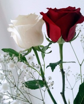 pasolinis_2's tweet photo. Für Dich..... ! Marie Claire https://t.co/v7VtDxsUim