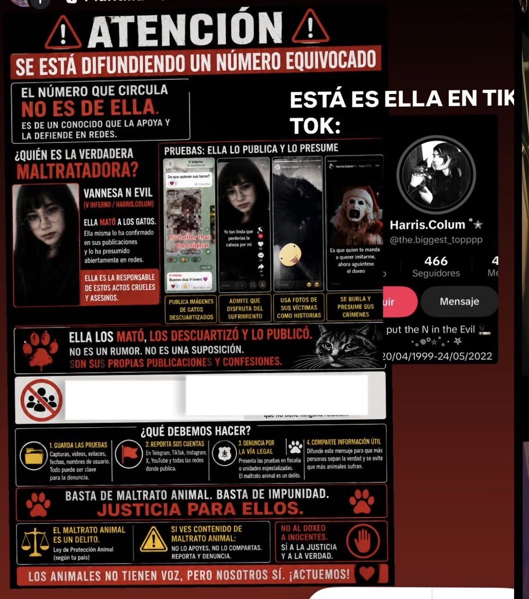 SungJixx's tweet photo. Tengo entendido que la persona que tiene la foto del gato NO es el asesino, es la tal Vanessa evil (la misma de años atrás)  que sigue matando y torturando animales #virałpost #GatoProtegido #gato https://t.co/aqLw91kyFX