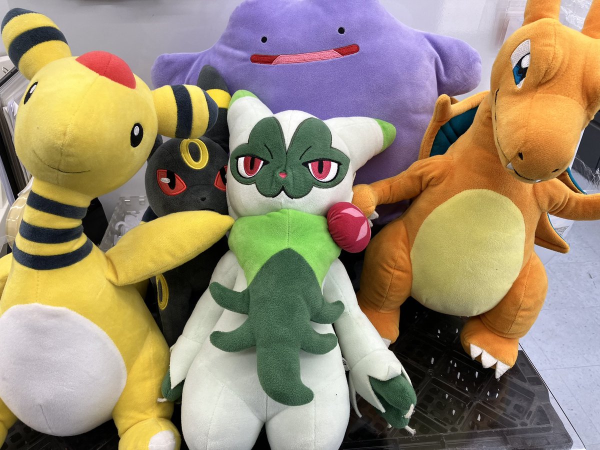 📢🌟入荷情報🌟📢 ポケモンとちいかわのぬいぐるみをお売りいただき