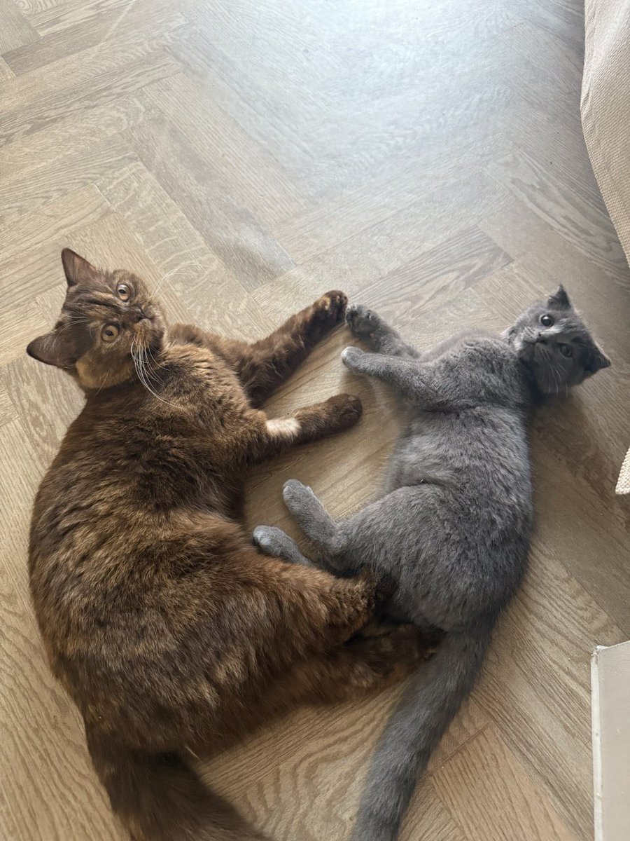 fairydulceann's tweet photo. caught them being nice to each other lol https://t.co/yeVOolT0mv