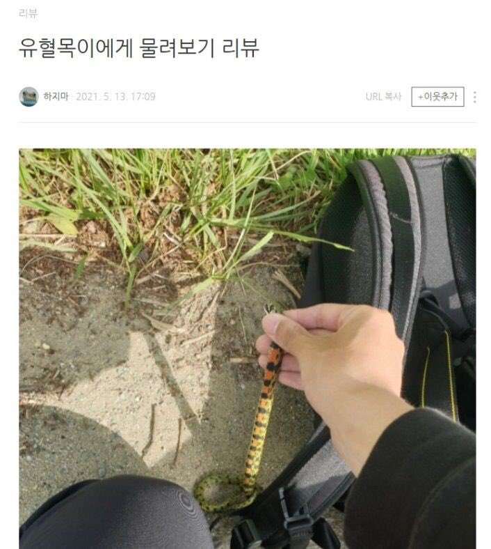 silrin_g's tweet photo. 개무서운건 이 사람 리뷰 5월 13일에 썼는데,
입원 리뷰가 8월 30일임. https://t.co/JBYk1sSQqf