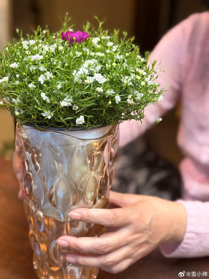 DevanThummar's tweet photo. Just upcycled old glass jars into cute herb planters! No fancy tools needed—success = green thumb + patience.  #DIYCraft #Upcycle https://t.co/khVI4Lb87R