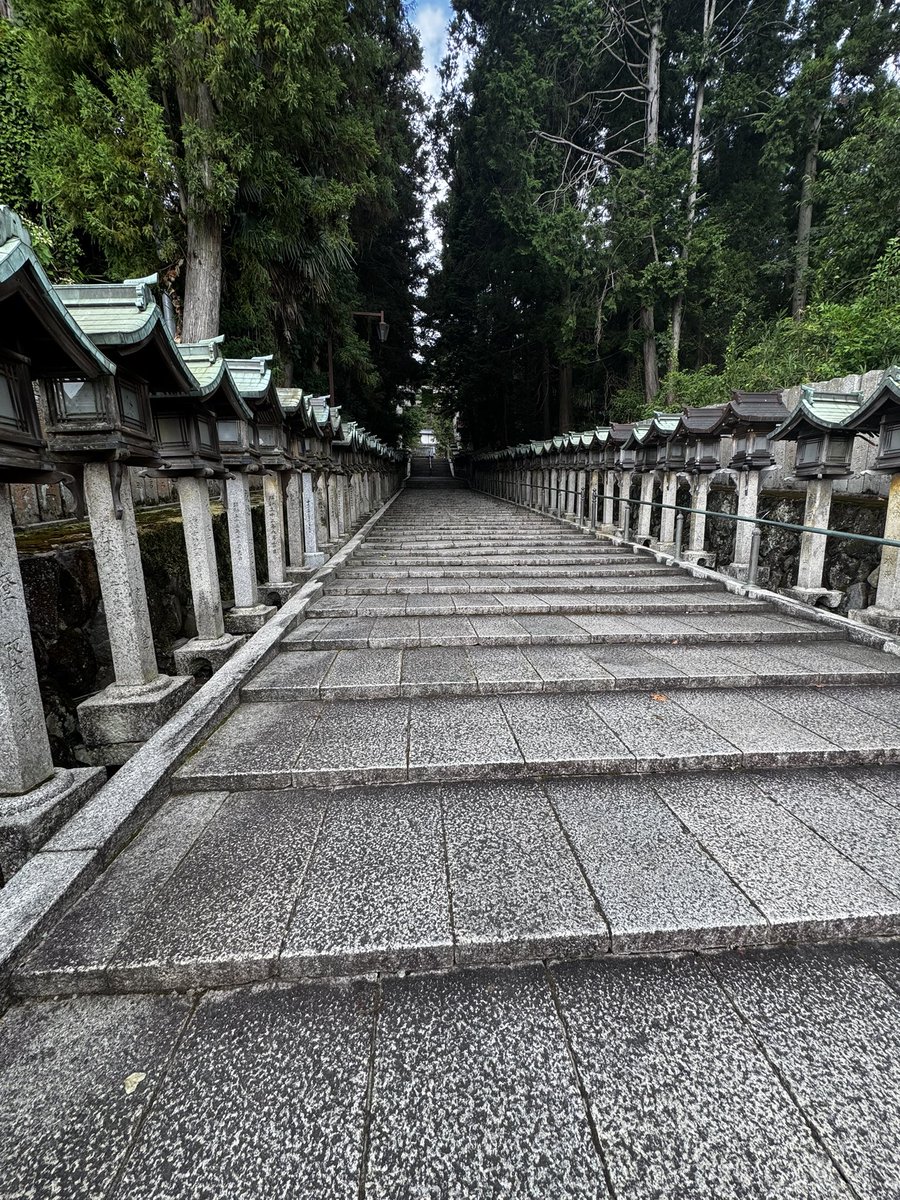 ketchy167's tweet photo. 久しぶりの早朝ドライブ。生駒宝山寺。心が洗われて下ネタが出てきませんww チェックしたいた蕎麦屋が臨時休業中でショック！ふらっと入ったインドネシア料理屋でスー��カレーを食す。素晴らしい展望でノンアルで乾杯！ https://t.co/wUklcJ6wD3