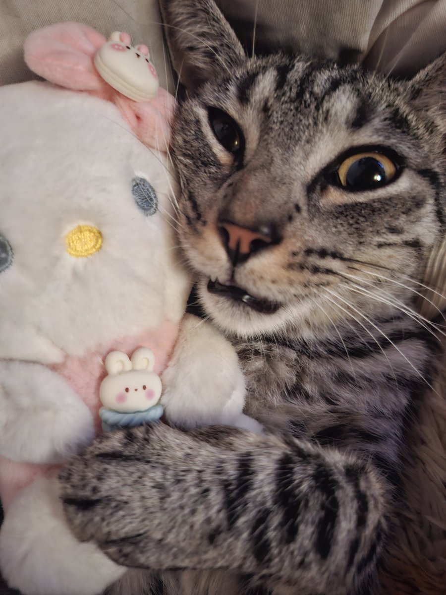heyaluhe's tweet photo. @Rayninin Por el mismo amor que le tengo a mis hijos, sentí la necesidad de difundir el caso y relacionados :(((

ES RE PARECIDO CON MI HIJO ADRYK. Parecen hermanos. Cómo se llama el otro bebé? https://t.co/qm8xuVd2l0