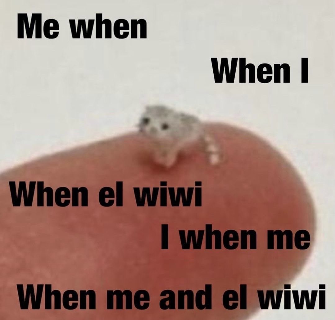 kittyincrisis's tweet photo. el wiwi https://t.co/QxbiyaaWTn