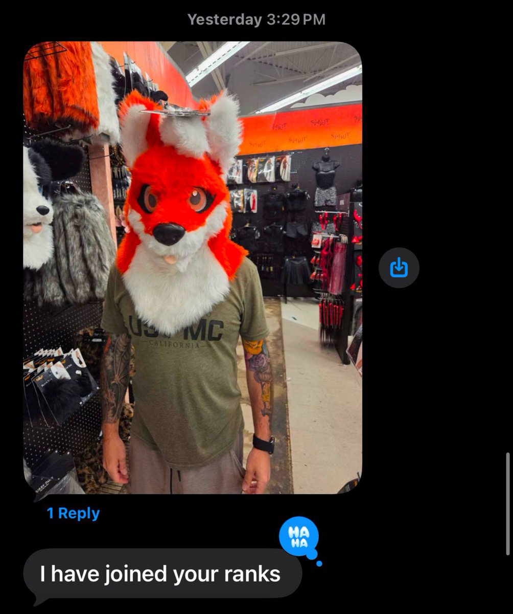 ThatOneCollie's tweet photo. Not my work boss randomly sending me this yesterday 😭 https://t.co/4wLlDMTUGz