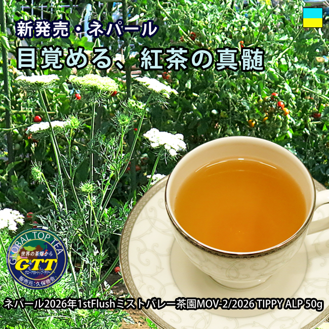 Global_Top_Tea's tweet photo. ネパールの美味しい紅茶が入荷しました。以前も販売していたミストバレー茶園、今回は従来と違い目を見張る美味しさです。私の経験ではダージリンに迫る品質を出せるのはカニャム茶園、マルーム茶園の二つでしたが、今回入荷したミストバレー茶園はそれに続く品質です。 https://t.co/mOHaag5kTt