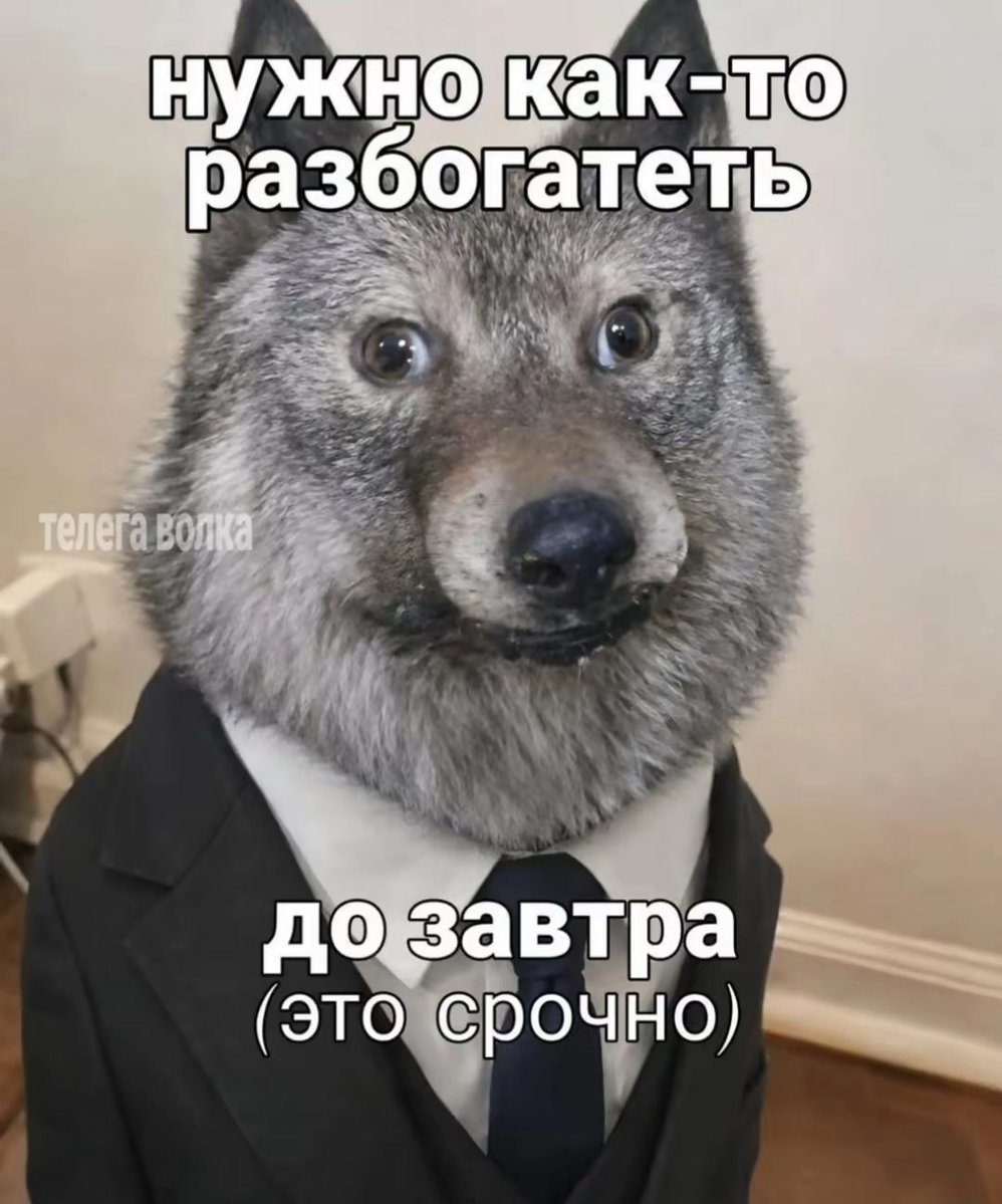 __s_o_b_a_k_a__'s tweet photo. https://t.co/lkXcaxpwhv