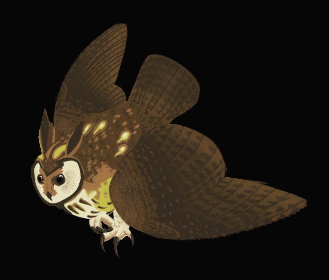 Nova_thebudgie_'s tweet photo. I plan to draw every character as an owl eventually, atleast the main 6. Anyways Yel first, Striped owl obviously #puzzleheads https://t.co/hyyPREFROl