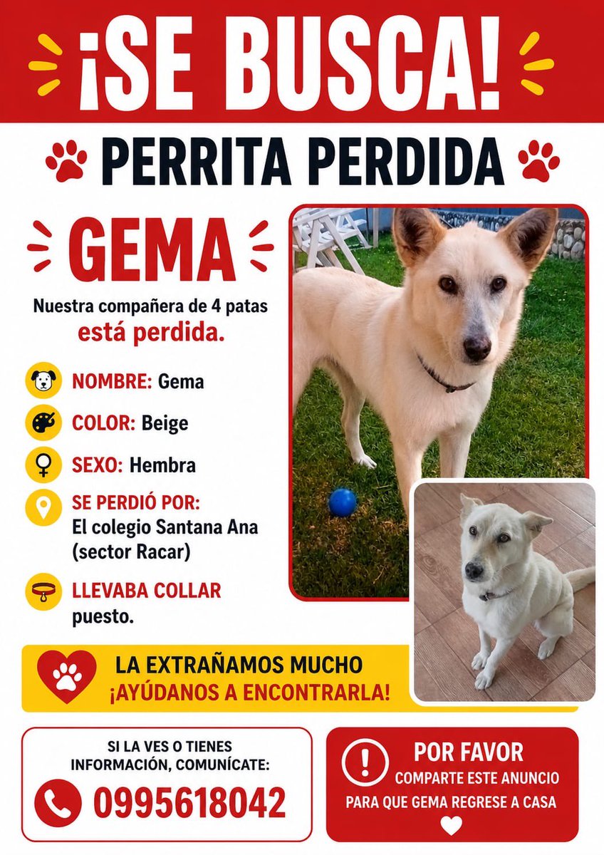 AlertaMePerdi tweet picture