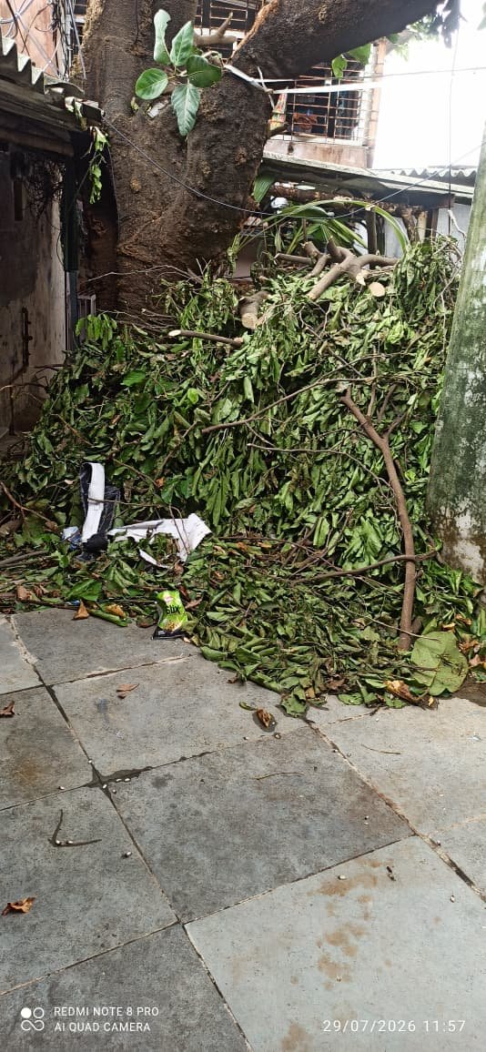 DetherPetras's tweet photo. वॉर्ड क्र 123 मध्ये खूप दिवसा अगोदर महानगर पालिकेच्या मार्फत झाड कापण्यात आले होते पण झाड कापून खुप दिवस झाले असून हा कचरा अजून उचलला नाही गुरुकृपा सोसायटी आनंदगड विक्रोळी पार्क साईट. लवकरात लवकर उचलून घ्यावे ही नम्र विनंती https://t.co/O130oIF3zA