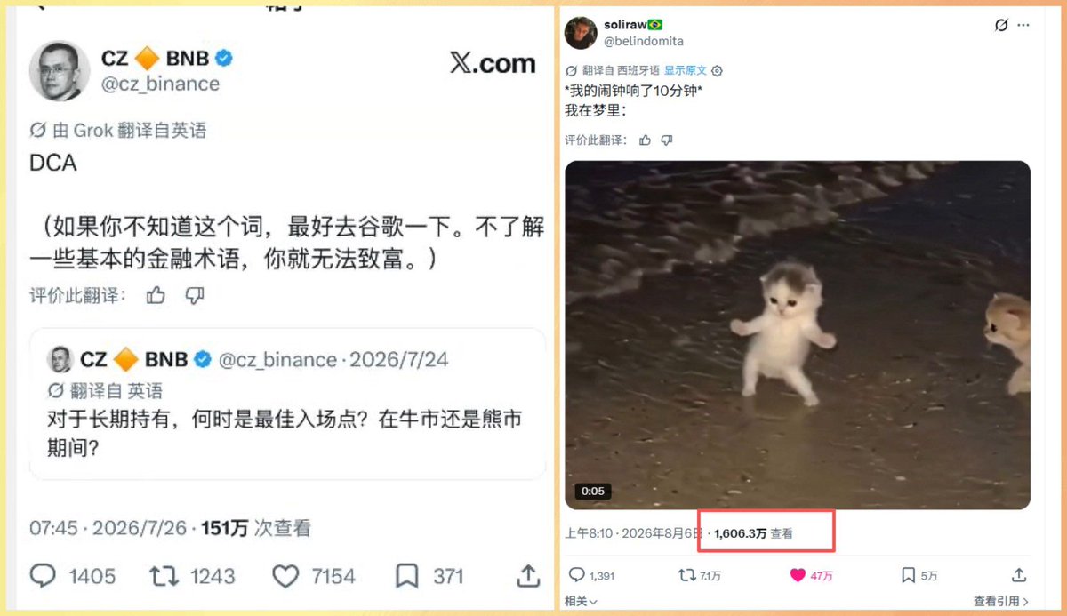 FansOsvinM's tweet photo. DCA 推特网红猫
推文1600万曝光率 CZ已奶 等发酵起飞
0x169d8240e7813033b06fb26d7c3ec0501e0a7777 https://t.co/0wikvgB5lQ