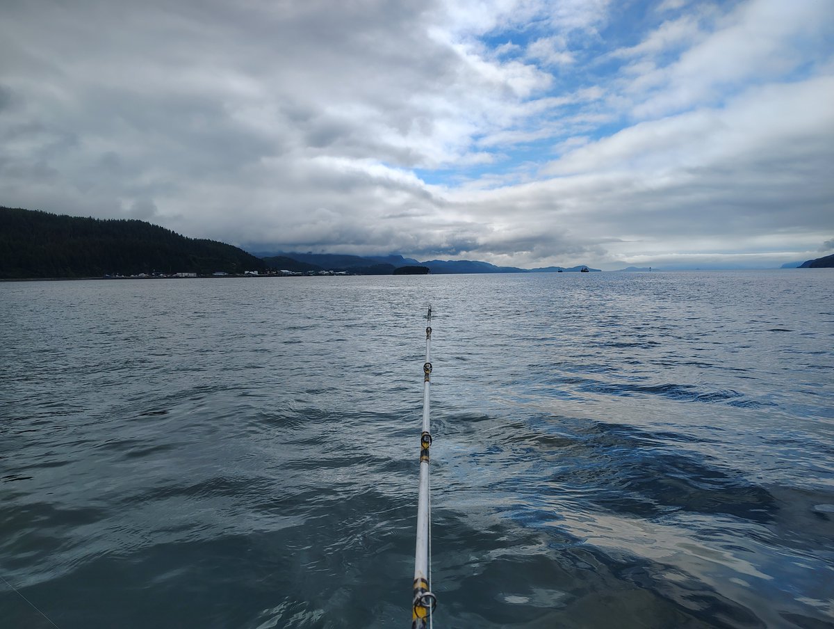 Thomas13793923's tweet photo. #alaska
#vibes
#outdoors https://t.co/8HoeUED2Al