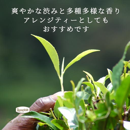 Ronnefeldt_net's tweet photo. 今日は　#山の日 

ハイグロウンティーとは、高い標高の産地の紅茶です☕️
ウバは、スリランカのウバ州で生産される、世界三大红茶のひとつです💕

#ロンネフェルト
#セイロンティー
#ウバ

ウバハイランド:https://t.co/DSQHVgoiGS https://t.co/ZuEJZmbqnE