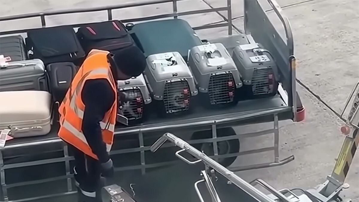 karapaia's tweet photo. 飛行機の貨物として運ばれる猫たち全てに愛情を注ぐ係員の姿に感動
https://t.co/vUsH5az05N

空港で飛行機に大切な動物を貨物として預けるのは、飼い主にとって非常に不安な瞬間だ。最近、ギリシャのアテネ国際空港で、手荷物係の男性が… https://t.co/hygBV3rVuh