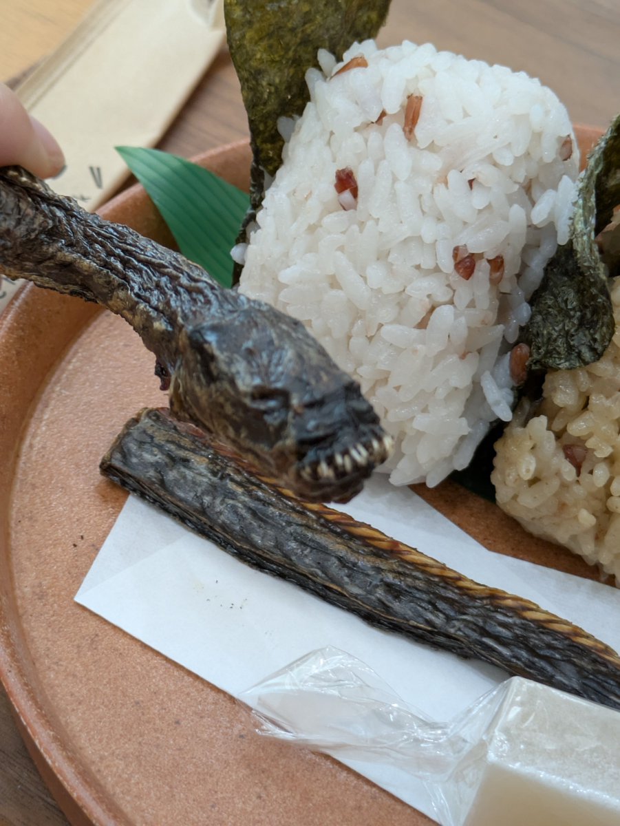 S_japan_artist's tweet photo. 弥生時代貝汁定食に付いてきた謎の魚の干物。 https://t.co/LhpQoRvAQ4