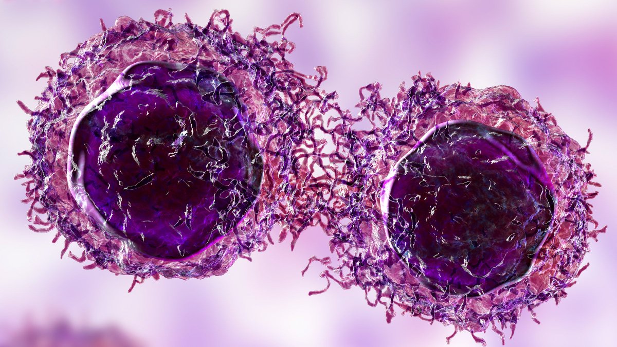 COVID19_disease's tweet photo. 🚨 BREAKTHROUGH: Scientists Destroy 99% of Cancer Cells in the Lab Using a Chemo-Free "Molecular Jackhammer"

Activated by light, these tiny molecules vibrate 40 trillion times per second, tearing apart cancer cell membranes and destroying them without relying on chemotherapy. https://t.co/ABEhsM8YEv