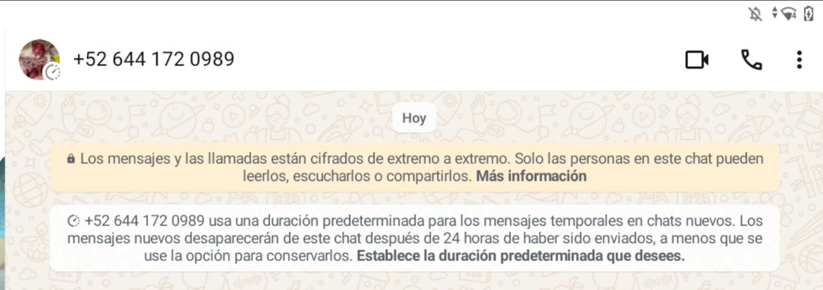 Jack_mark1234's tweet photo. ⚠️𝐀𝐃𝐕𝐄𝐑𝐓𝐄𝐍𝐂𝐈𝐀. Quiero que sepan que hay un número de whastapp que subió una foto de perfil de su gato con sus órganos, afuera y sin sus ojos y piel en la parte de su cabeza. El hombre responde algunos mensajes diciendo "para la próxima lo haré con mi perro." reportarlo https://t.co/VKLKnxBgqp