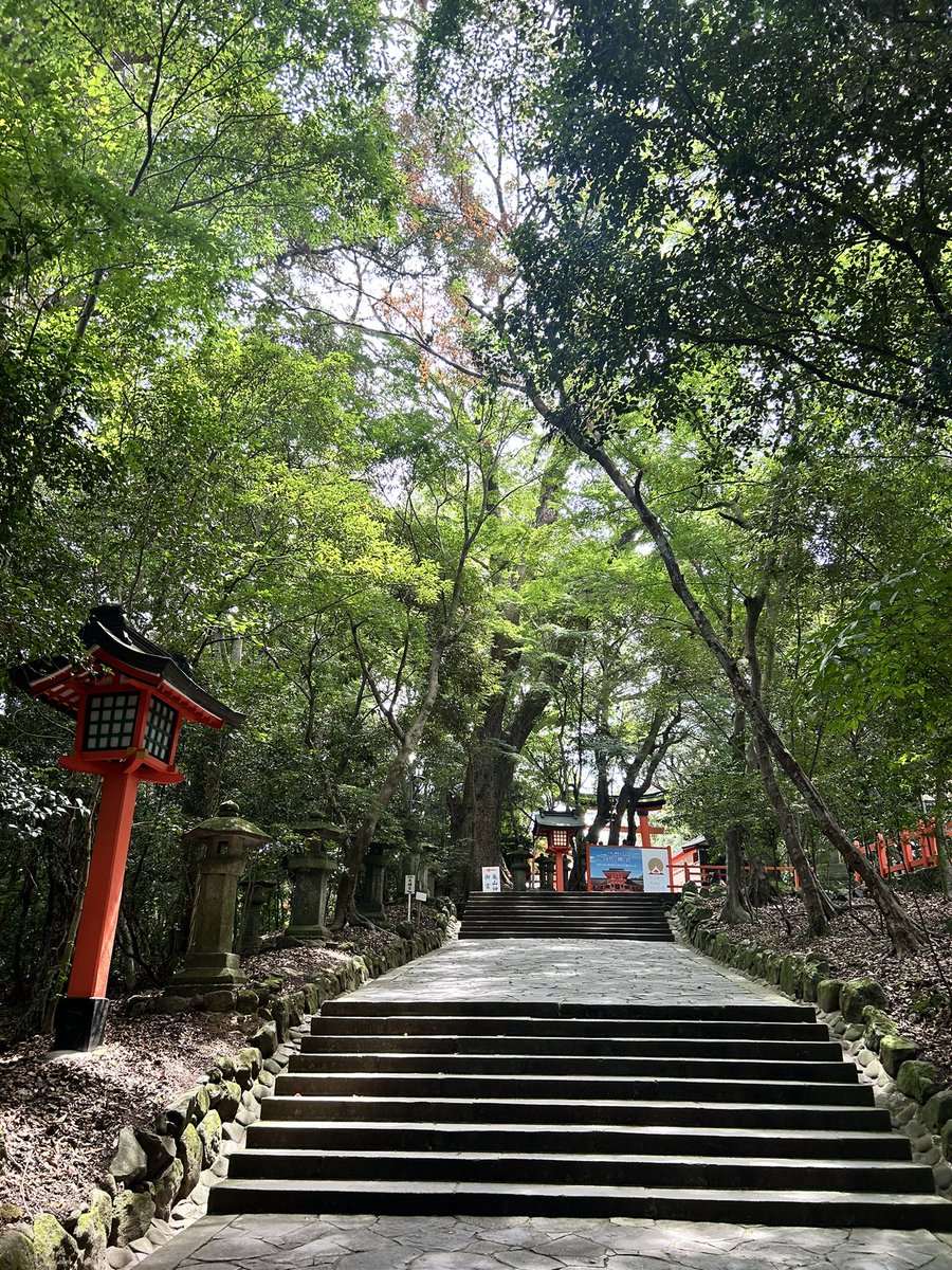 chatoccham's tweet photo. あとぅい☀️ https://t.co/xSqwOry3v8