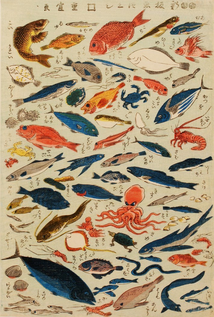 artenpedia's tweet photo. Utagawa Shigenobu: Innumerable species of fish, 1847-1848 https://t.co/OJQmczzh07