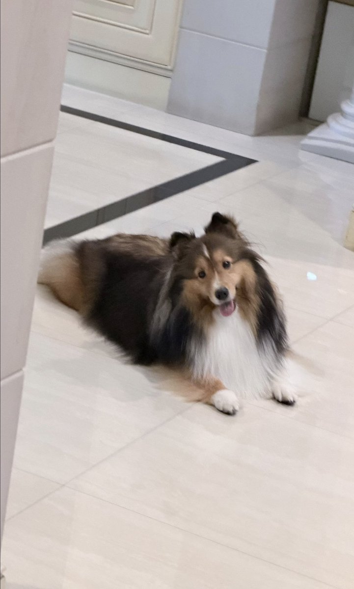 MickmetasO's tweet photo. 🐶🐾 Haloooo everyone
Mickmetas igs update
#mickmetas
#mickeyhouse #มิคเมธัส https://t.co/xHJNCZ87L6