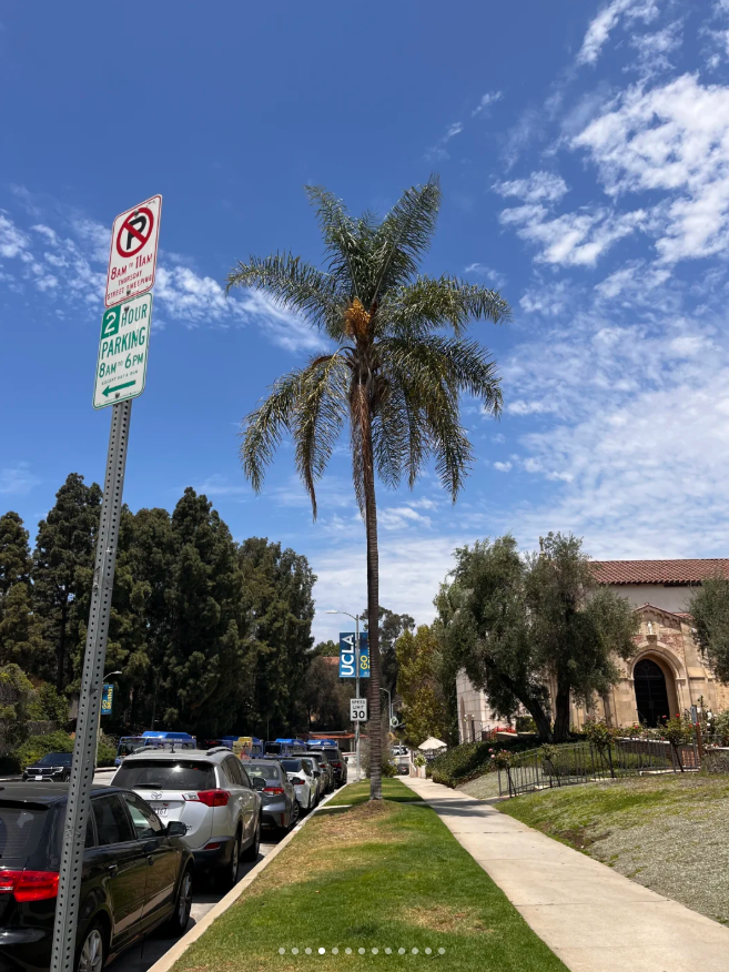 AUSAeducation's tweet photo. Sunshine, sea breeze, palm trees, and streetscapes
I love the sense of freedom and the laidback vibe here. https://t.co/wLawNlzara