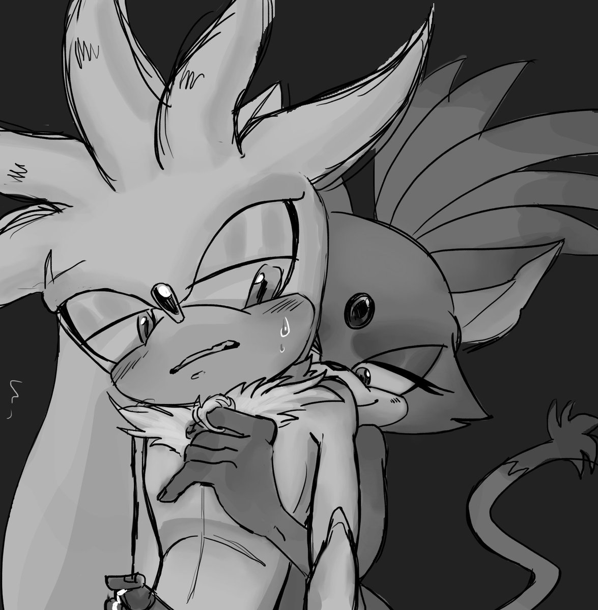 mtvc66942479's tweet photo. Silvaze +18 #silvaze #Masturbation #nsfw #Sonicthehedgehog #silverthehedgehog #blazethecat https://t.co/QZvqfuIu8F