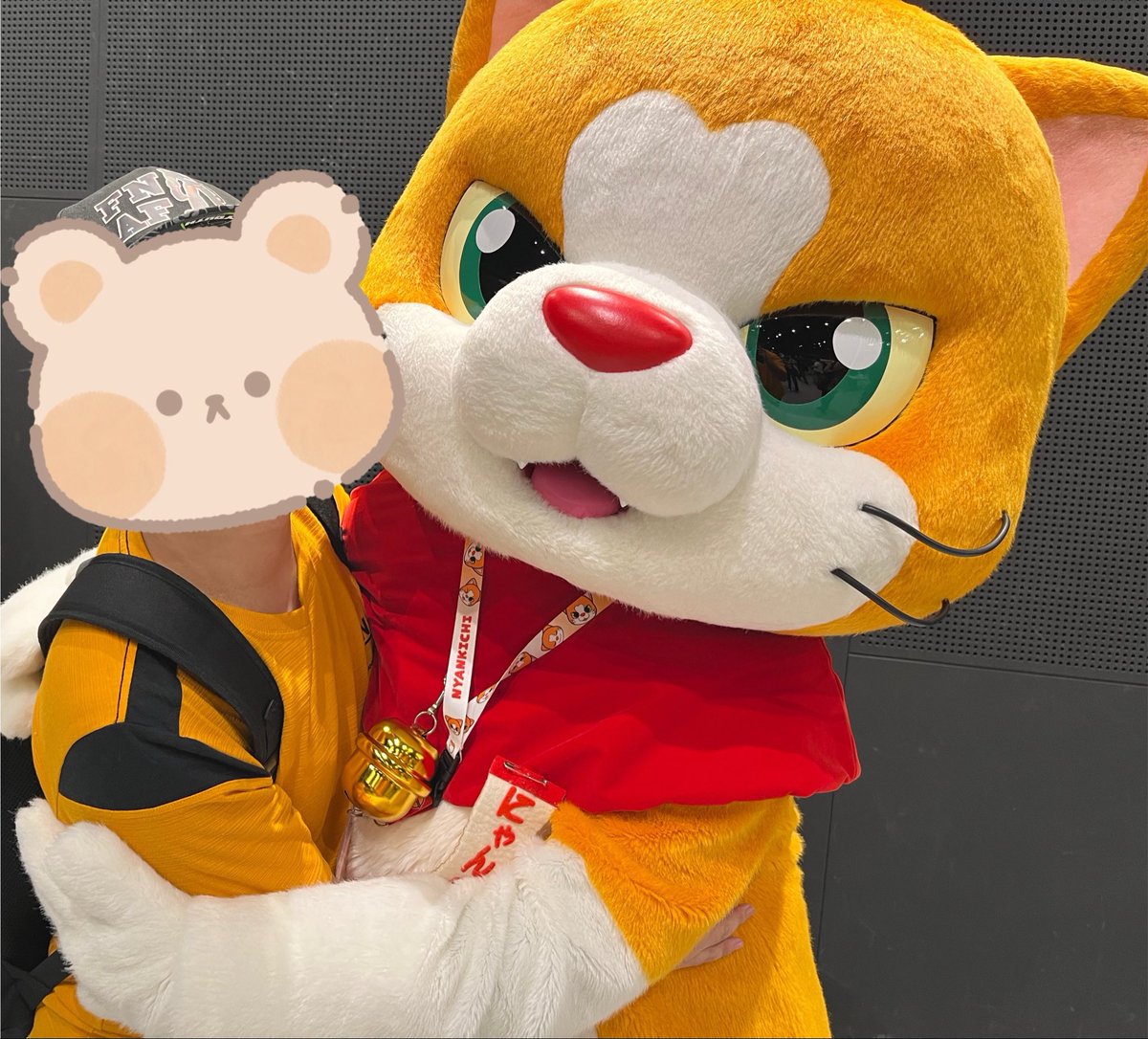 にゃん吉【公式】Nyankichi (@cat_nyankichi) / Posts / X