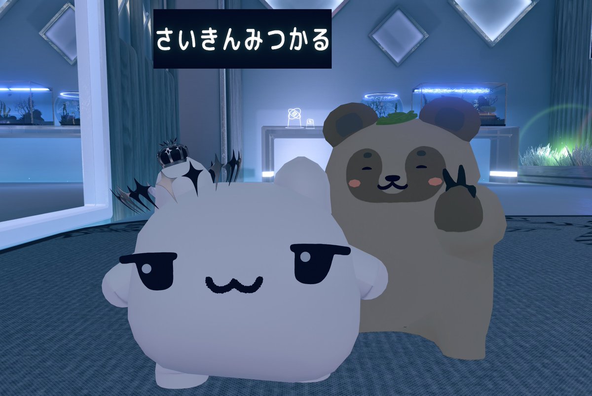gagaga_bubu's tweet photo. 昨日の！！
無言でも話してくれるのありがたいね、良い写真撮れて嬉しい🤙

未知の生物と会った、名前は覚えていない、やつは俺の話を聞いてくれなかった https://t.co/TQbU81zlaZ