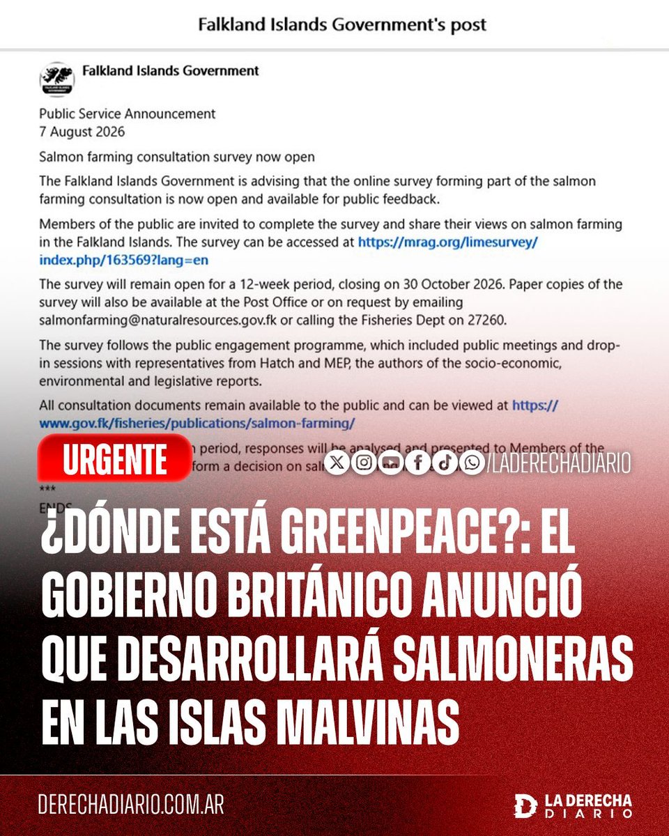 laderechadiario's tweet photo. 🚨🇬🇧🇦🇷 | ¿DÓNDE ESTÁ GREENPEACE?: Los usurpadores del Reino Unido avanzan con un proyecto para desarrollar salmonicultura a gran escala en las Islas Malvinas, territorio argentino ocupado ilegalmente por los británicos, con una producción proyectada de hasta 50.000 toneladas anuales y un negocio potencial de decenas de millones para la economía isleña.

Al mismo tiempo, la ONG británica Greenpeace impulsó durante años la prohibición de la cría industrial de salmones en Tierra del Fuego, sancionada finalmente en 2021, dejando a la Argentina afuera de una actividad que en Chile genera miles de millones de dólares anuales en exportaciones.

Mientras tanto, el Gobierno de Javier Milei avanzó en la liberalización del sector para impulsar nuevas inversiones acuícolas en Tierra del Fuego. Tras la modificación de la prohibición total que regía desde 2021, la provincia volvió a habilitar la salmonicultura en determinadas zonas, mientras Nación redujo cargas sobre la producción fueguina y avanzó con SENASA en un nuevo esquema sanitario y de trazabilidad para facilitar el crecimiento de la actividad.