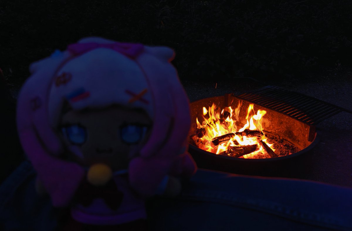 No1Special___'s tweet photo. @ShibiCottonbum And is now enjoying the evening around the campfire. Night everybun! #bunwild https://t.co/5aJWspxo6o