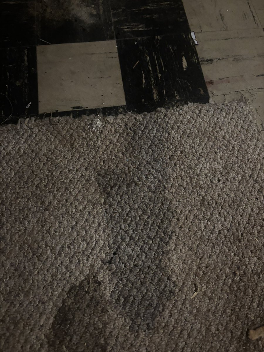 jessleeetee's tweet photo. Sit down piss. I was trying to do a slow stream to make the piss last longer #pee #peeing #piss #pissing #pissfetish #peefetish #pissmarking #pussy #pisswhereyouwant #peewhereyouwant #peemarking #pissplay #omo #pissslut #peeslut #pissyprincess #peeplay #girlpiss #girlpee #carpetpee #carpetpiss