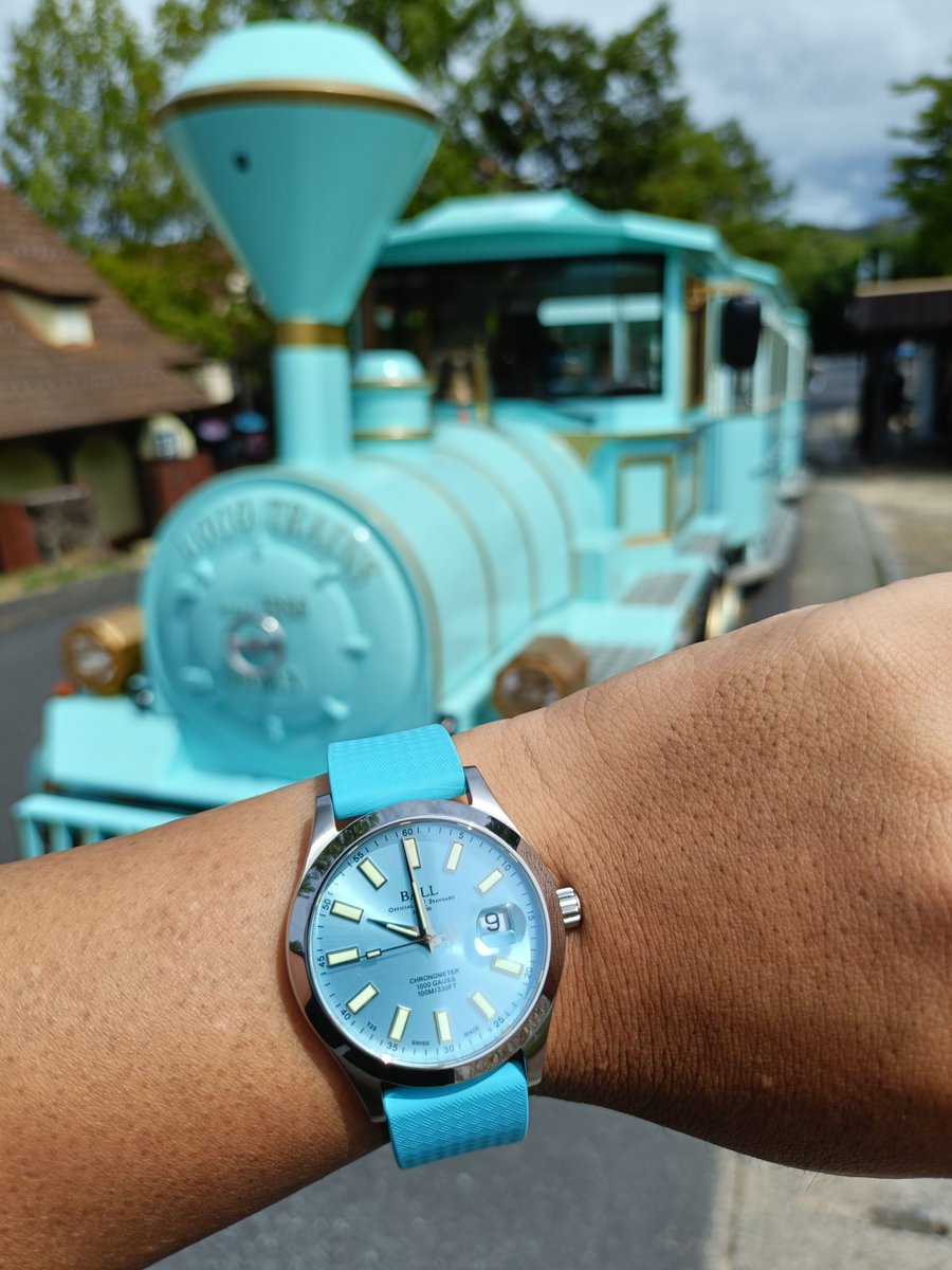 Daizi0302's tweet photo. 岡山の旅行には必ずボールウォッチをつけて帰省してます❗
岡山なのにドイツの森で写真撮ってきました。オススメは奇跡的にストラップと同じカラー乗り物との一枚です。しかしボールウォッチの輝きは動物にも伝わるみたいです。
@BALLWatchJP
#2026夏ボールウォッチつけてかなきゃ https://t.co/r84BmVb8m3