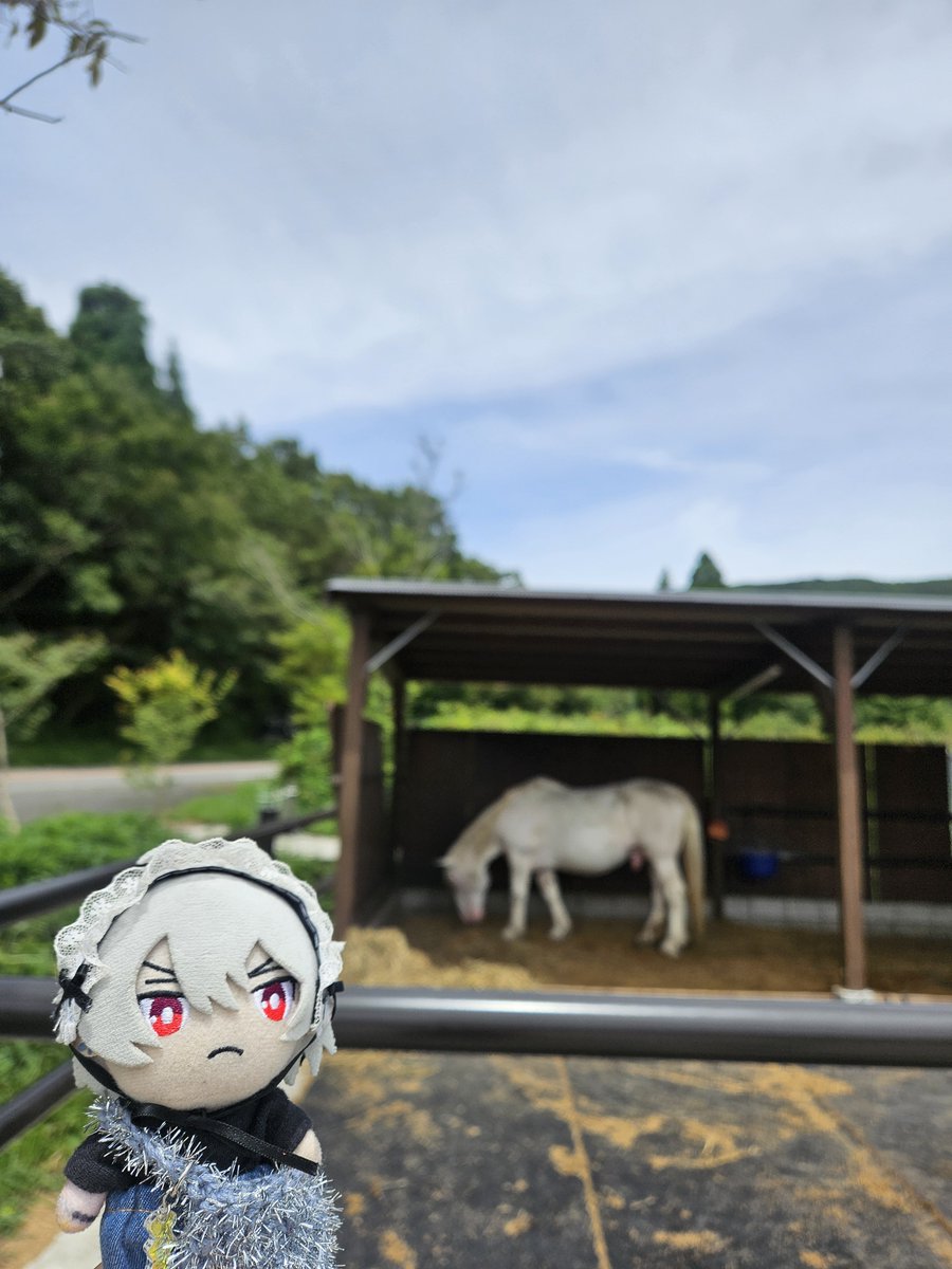 hakka_isxs's tweet photo. デッカさまちゃんいた！ https://t.co/toV3YaOeY2