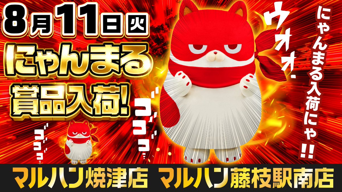 📣明日8月11日（火） ✨✨✨✨✨✨✨✨✨ 😺にゃんまる賞品入荷