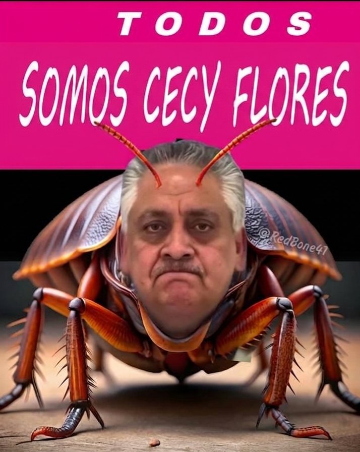 navigueitor's tweet photo. @Humanismo4T @CeciPatriciaF Al rato la hacen su candidata a la presidencia ! https://t.co/C54NcMotpT
