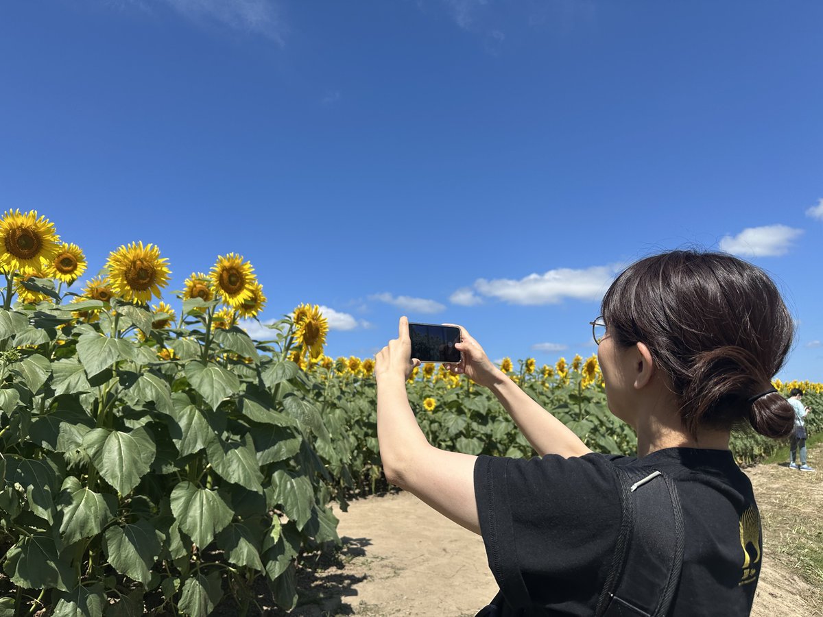 AsukA_stu's tweet photo. ひまわり倒れる5秒前
#高瀬一矢60th祭 https://t.co/0GvXfUwCGO