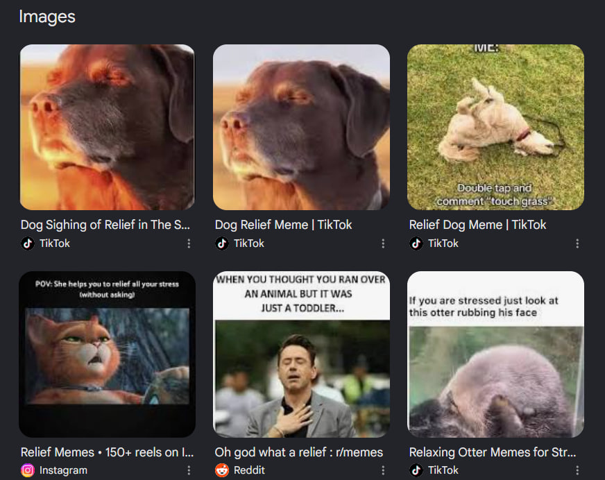 Mihika2004's tweet photo. @seyong Seyong you created FOMO

now we got $ROMO

Relief Of Missing Out

best FOMO deriv I've seen

take a look at this one

I use the relief dog meme as the PFP because we're still in the animal meta and it's more memeable.

CA:
6X2TZF63odAsTbqGM3veUvT8mdaGh3oEZrM62ohkpump https://t.co/3hUFtnSteR