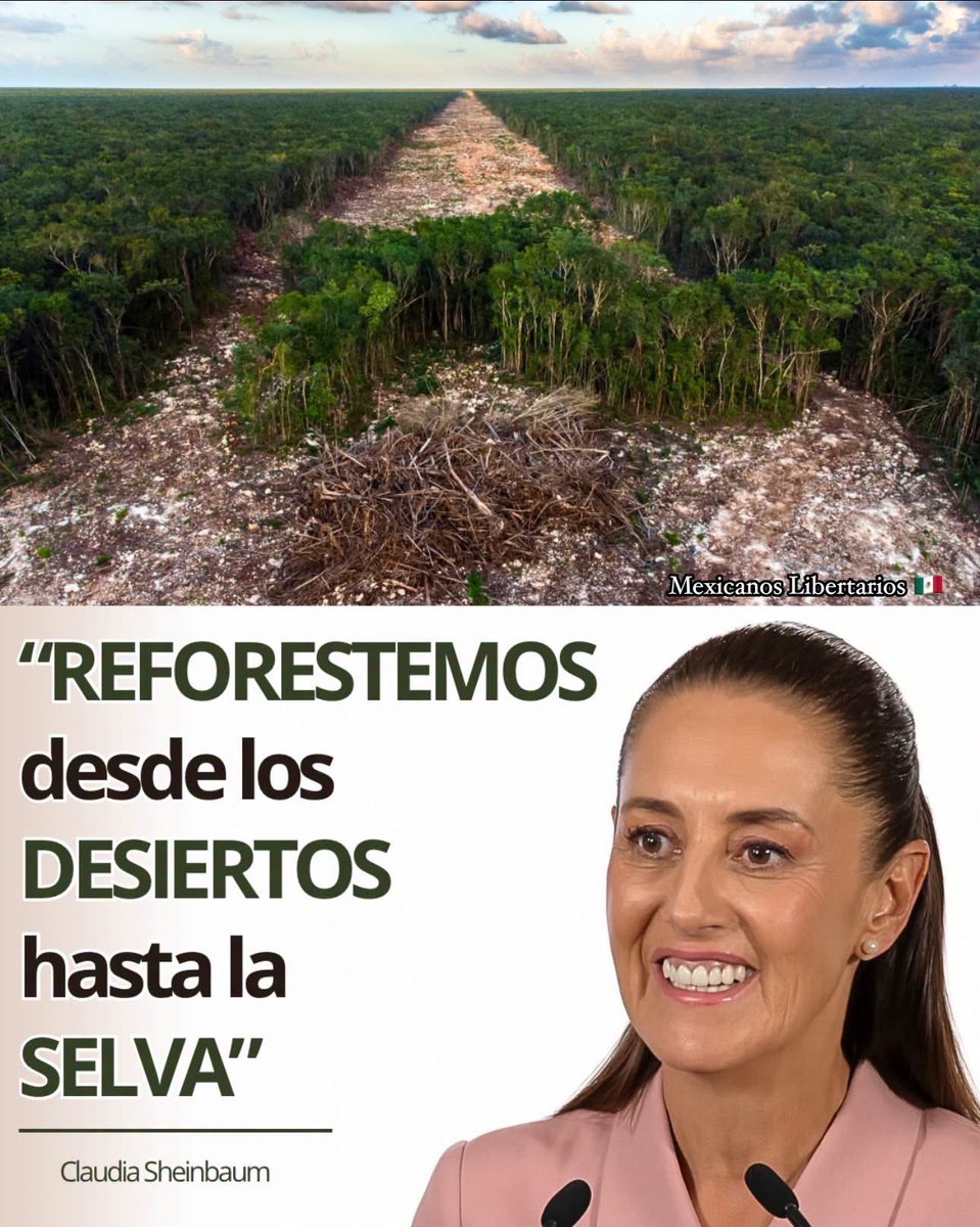 Mxs_Libertarios's tweet photo. Después de talar más de 6,500 hectáreas por el #TrenMaya ahora si muy ecologista. 

Después de entregarle al Crimen Organizado comunidades enteras de Pueblos Indígenas y recortarle más de 3 Mil millones de pesos para usarlos en sus campañas mañosas y narcas, ahora sí muy indigenista.