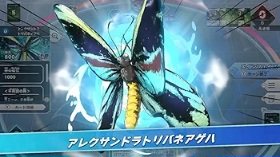 すみません、日曜は蟲神器してました。 アレクサンドラトリバネアゲハ
