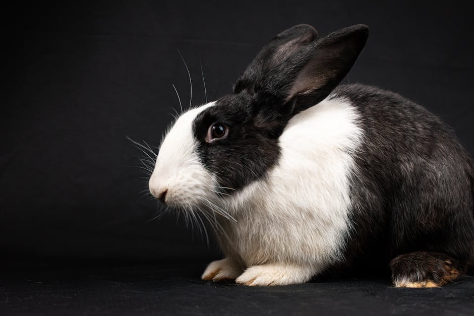 LeandraMerton's tweet photo. Chloe Bella Life friends Lucas Amelia feels brighter with amazing around alix catchings🤚 https://t.co/YDcNgtBfNR